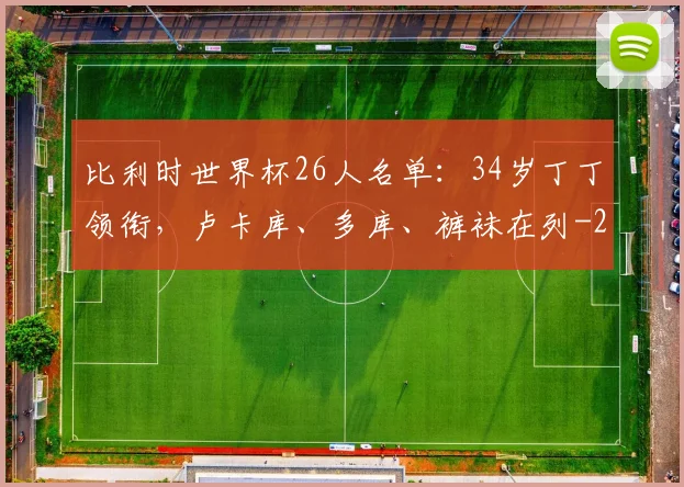 比利时世界杯26人名单：34岁丁丁领衔，卢卡库、多库、裤袜在列