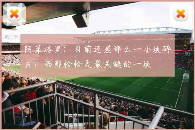 阿莱格里：目前还差那么一小块碎片，而那恰恰是最关键的一块