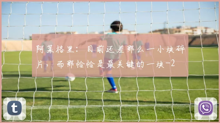 阿莱格里：目前还差那么一小块碎片，而那恰恰是最关键的一块