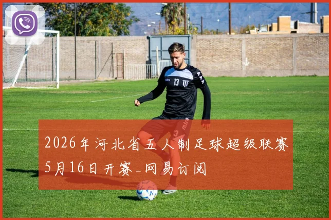 2026年河北省五人制足球超级联赛5月16日开赛_网易订阅