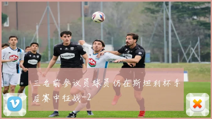 三名前参议员球员仍在斯坦利杯季后赛中征战