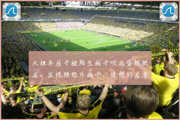 大姐车座子被陌生狗子咬成蛋糕胚后，发视频怒斥狗子，没想到后者居然直接打起双闪…评论区：这狗手段有点高啊，这双闪跟紫薯精一模一样…