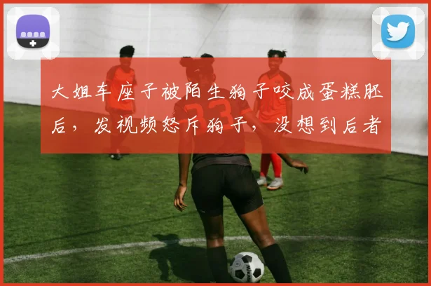 大姐车座子被陌生狗子咬成蛋糕胚后，发视频怒斥狗子，没想到后者居然直接打起双闪…评论区：这狗手段有点高啊，这双闪跟紫薯精一模一样…